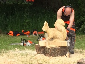 IMG_5511